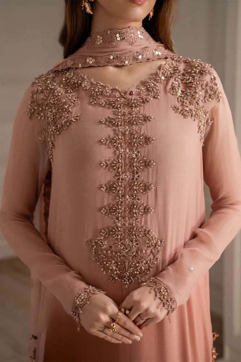 Embroidered Chiffon - Rang Nazara