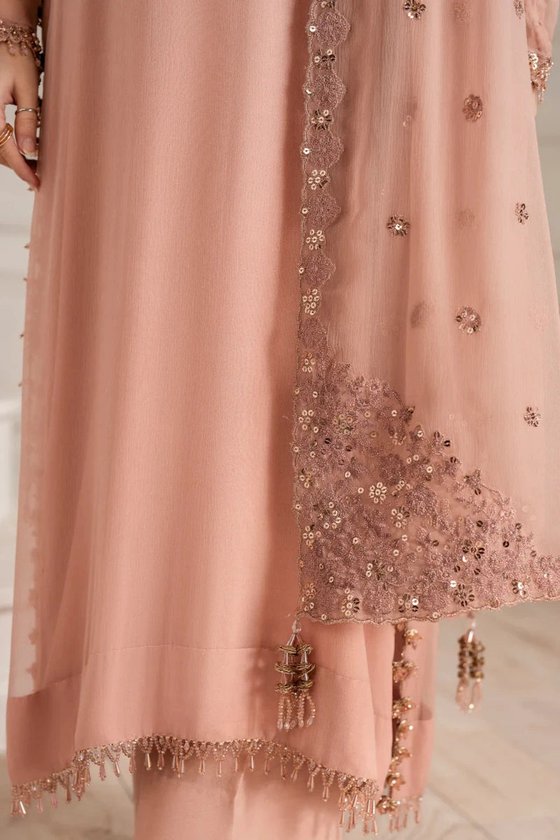 Embroidered Chiffon - Rang Nazara