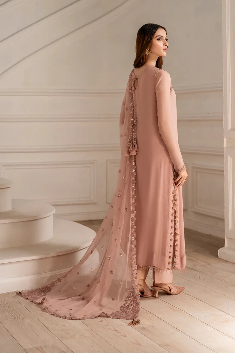 Embroidered Chiffon - Rang Nazara