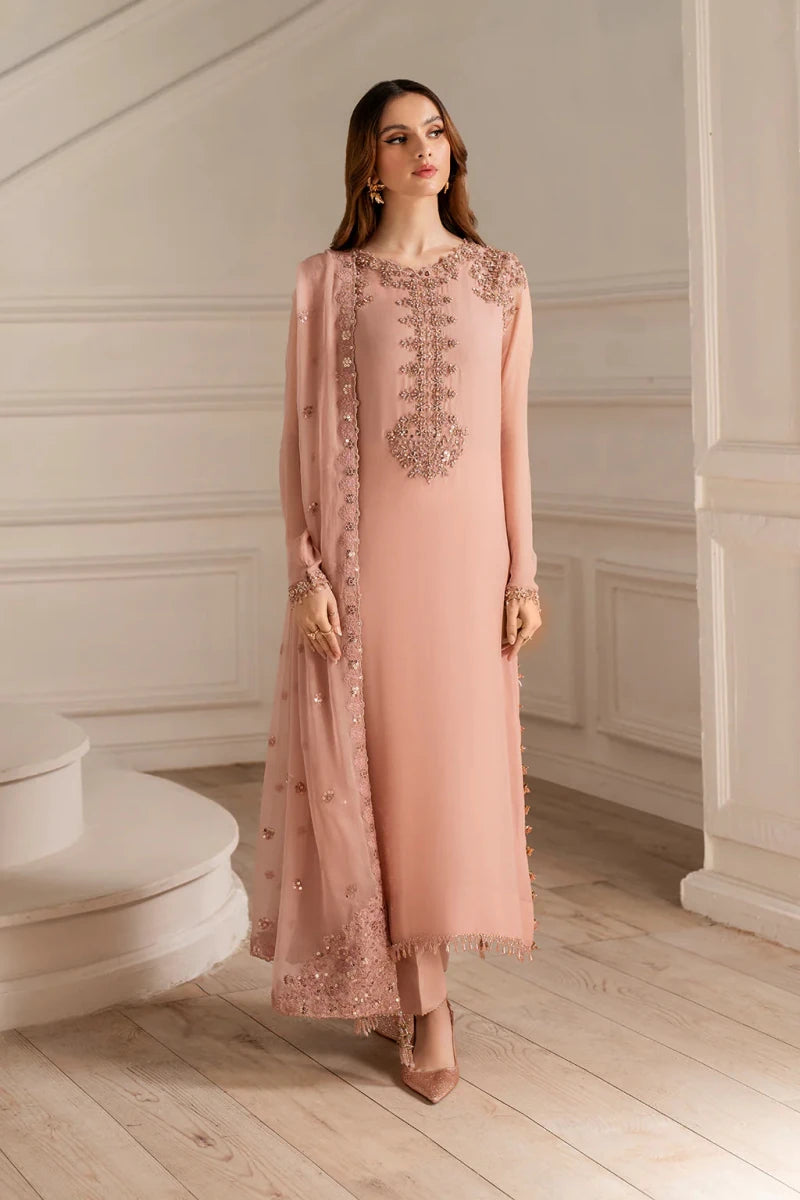 Embroidered Chiffon - Rang Nazara