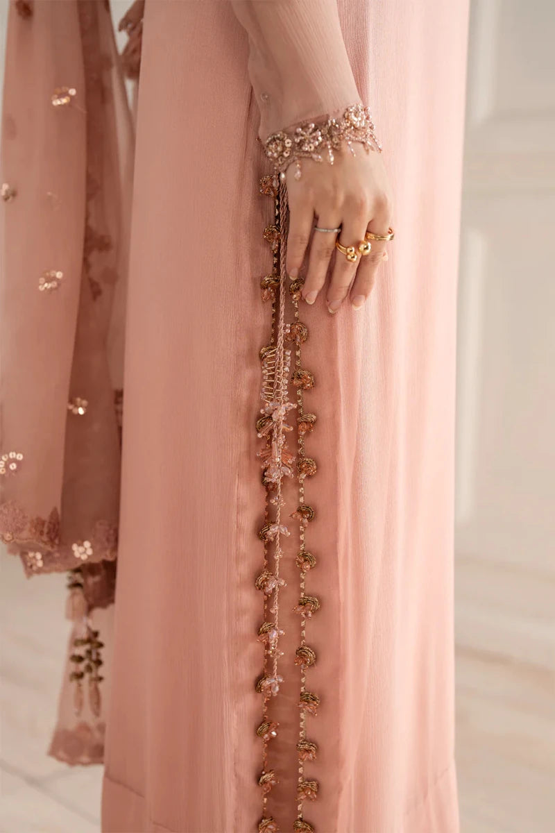 Embroidered Chiffon - Rang Nazara