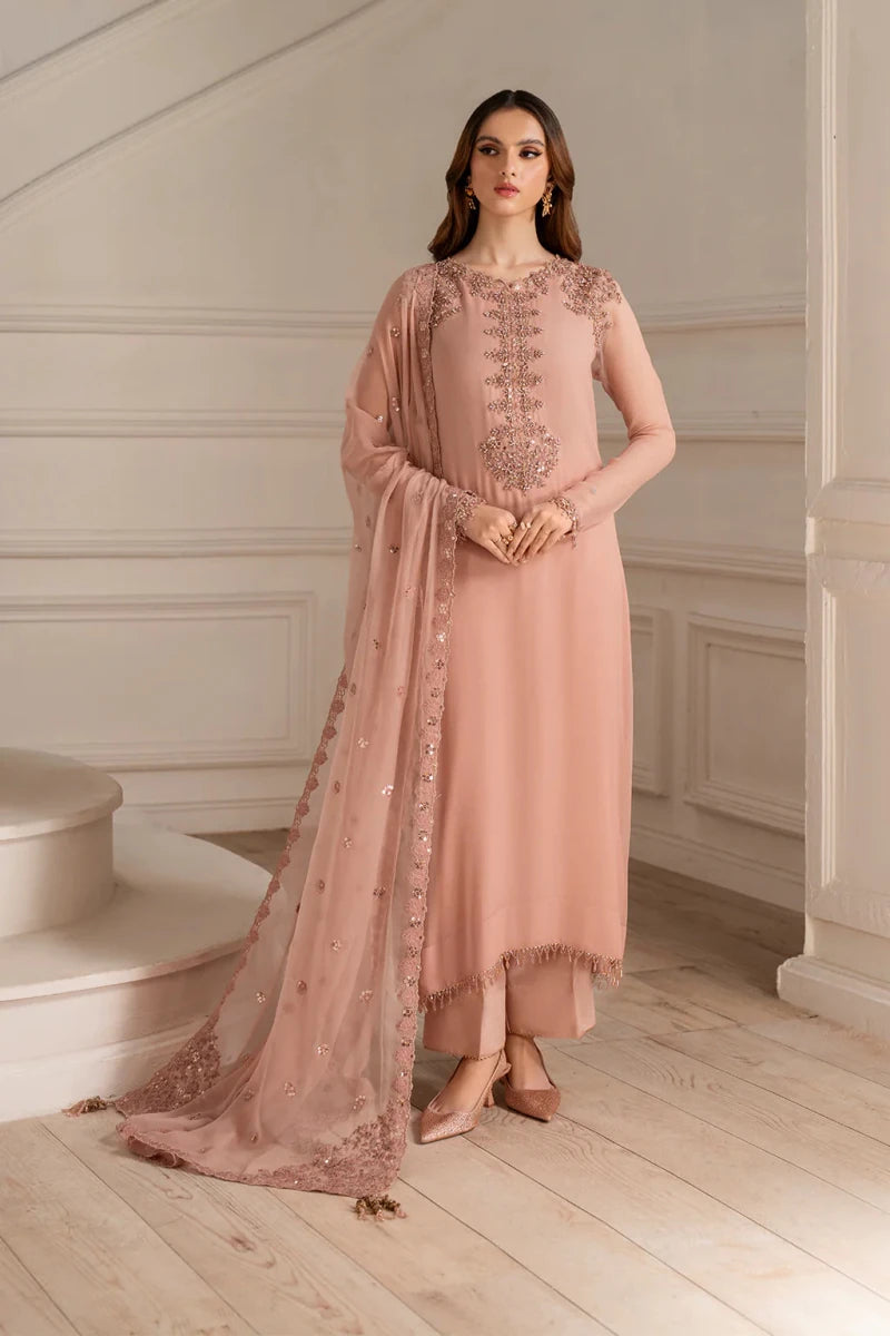 Embroidered Chiffon - Rang Nazara