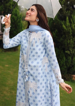 Light blue and white Khadar unstitched dress, close-up of embroidered neckline and sleeves